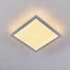 Nexo Lampa Sufitowa LED Biały, 1-punktowy
