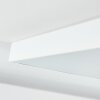 Pedemonte Lampa Sufitowa LED Biały, 1-punktowy