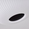 Sebep Lampa Sufitowa LED czarny, 1-punktowy