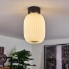 Sebep Lampa Sufitowa LED Czarny, 1-punktowy