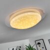 Rosenga Lampa Sufitowa LED Biały, 1-punktowy, Zdalne sterowanie