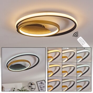 Trapani Lampa Sufitowa LED Złoty, Czarny, 1-punktowy, Zdalne sterowanie, Zmieniacz kolorów