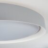 Beade Lampa Sufitowa LED Szary, Biały, 1-punktowy, Zdalne sterowanie, Zmieniacz kolorów