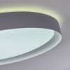 Beade Lampa Sufitowa LED Szary, Biały, 1-punktowy, Zdalne sterowanie, Zmieniacz kolorów
