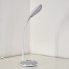 Paphos lampka nocna LED Biały, 1-punktowy, Zmieniacz kolorów