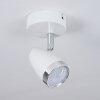 Idlewild Lampa Sufitowa LED Chrom, Biały, 1-punktowy