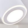 Appleton Lampa Sufitowa LED Biały, 1-punktowy