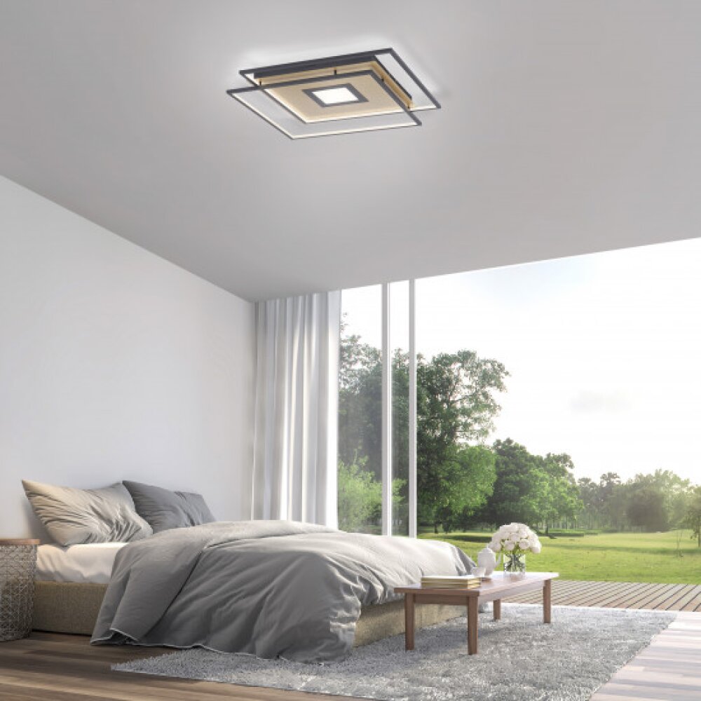 Paul Neuhaus Q-AMIRA Lampa Sufitowa LED Czarny, 1-punktowy, Zdalne sterowanie main product photo