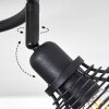 Omba Lampa Sufitowa Ciemne drewno, Czarny, 3-punktowe