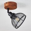 Kesao Lampa Sufitowa Ciemne drewno, Czarny, 1-punktowy