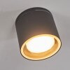 Macoupin Lampa Sufitowa Czarny, 1-punktowy Macoupin Lampa Sufitowa Czarny, 1-punktowy