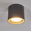 Macoupin Lampa Sufitowa Czarny, 1-punktowy Macoupin Lampa Sufitowa Czarny, 1-punktowy