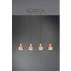 Trio Gaya Lampa Wisząca Ciemnobrązowy, Nikiel matowy, 4-punktowe