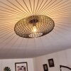 Wemude Lampa Sufitowa Czarno-złoty, 1-punktowy
