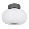 Globo  Lampa Sufitowa LED Antracytowy, Nikiel matowy, 1-punktowy