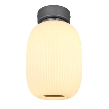 Globo  Lampa Sufitowa LED Antracytowy, Nikiel matowy, 1-punktowy