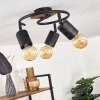 Raccuia Lampa Sufitowa Ciemne drewno, Czarny, 3-punktowe