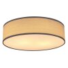 Globo VARIOS Lampa Sufitowa, 2-punktowe