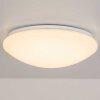 Brilliant Fakir oświetlenie ścienne i sufitowe LED Biały, 1-punktowy