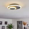 Harea Lampa Sufitowa LED Szary, 1-punktowy