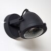 Glostrup Lampa ścienna LED Czarny, 1-punktowy