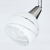 Warga Lampa Sufitowa LED Nikiel matowy, 1-punktowy
