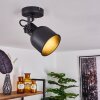 Juliboy Lampa Sufitowa Czarny, 1-punktowy