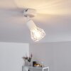 Baripada Lampa Sufitowa Biały, 1-punktowy