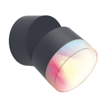 Lutec DROPSI Zewnętrzny kinkiet LED Antracytowy, 1-punktowy, Zmieniacz kolorów