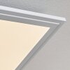 Pau Lampa Sufitowa LED Biały, 1-punktowy