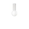 Ideallux PETIT Lampa Sufitowa Biały, 1-punktowy
