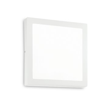Ideallux UNIVERSAL Lampa Sufitowa LED Biały, 1-punktowy