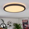 Boyero Lampa Sufitowa LED Czarny, 1-punktowy