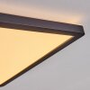 Boyero Lampa Sufitowa LED Czarny, 1-punktowy