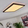 Boyero Lampa Sufitowa LED Czarny, 1-punktowy