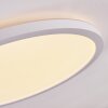 Boyero Lampa Sufitowa LED Biały, 1-punktowy