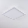 Mota Lampa Sufitowa LED Biały, 1-punktowy, Zdalne sterowanie, Zmieniacz kolorów