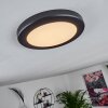 Canditas Lampa Sufitowa LED Czarny, 1-punktowy