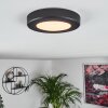 Canditas Lampa Sufitowa LED Czarny, 1-punktowy