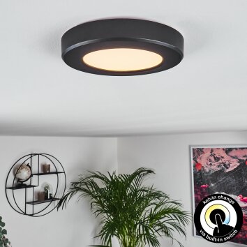 Canditas Lampa Sufitowa LED Czarny, 1-punktowy