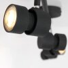 Steinhauer Natasja Lampa Sufitowa LED Czarny, 4-punktowe