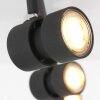 Steinhauer Natasja Lampa Sufitowa LED Czarny, 4-punktowe