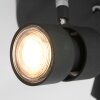 Steinhauer Natasja Lampa Sufitowa LED Czarny, 3-punktowe