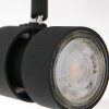 Steinhauer Natasja Lampa Sufitowa LED Czarny, 6-punktowe