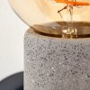Nonume Lampa ścienna szary, czarny, 1-punktowy