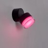 Papagayos Zewnętrzny kinkiet LED Antracytowy, 1-punktowy, Zmieniacz kolorów