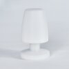 Vallardo Lampa stołowa LED Biały, 1-punktowy