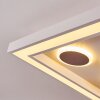 Minichu Lampa Sufitowa LED Biały, 1-punktowy, Zdalne sterowanie