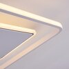 Panchita Lampa Sufitowa LED Biały, 1-punktowy, Zdalne sterowanie