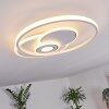 Panchita Lampa Sufitowa LED Biały, 1-punktowy, Zdalne sterowanie